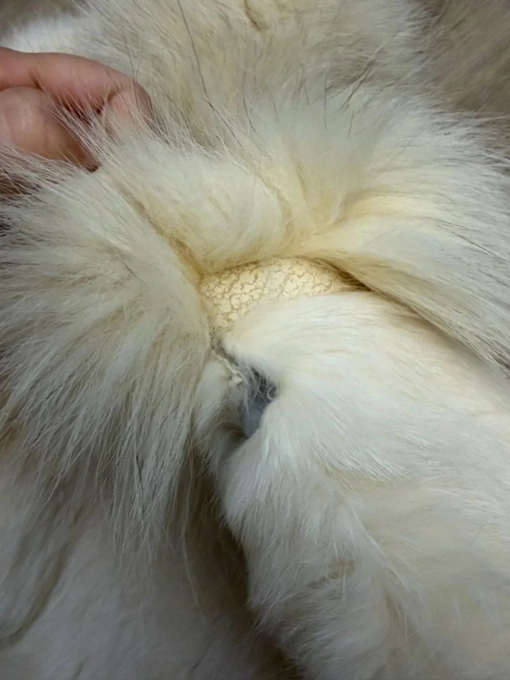 Vintage Princess Caravelle Cream Children’s Fur Jacket